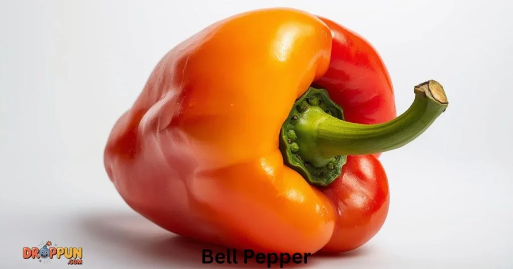 Bell Pepper