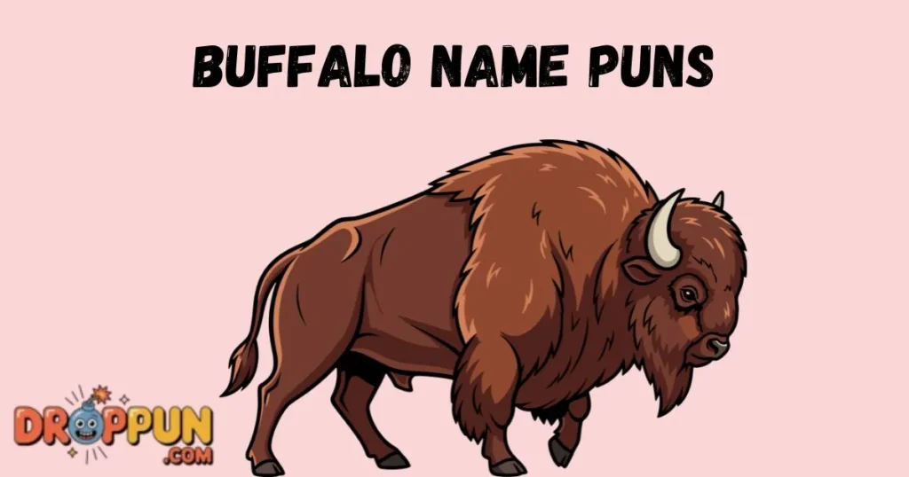 Buffalo Name Puns