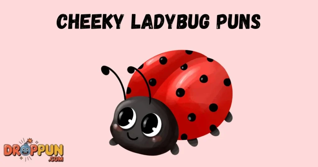 Cheeky Ladybug Puns