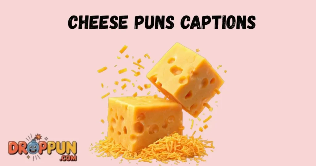 Cheese Puns Captions