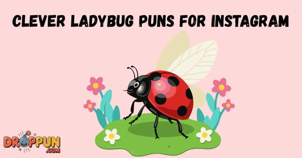 Clever Ladybug Puns For Instagram