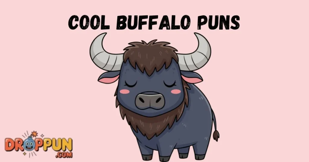 Cool Buffalo Puns