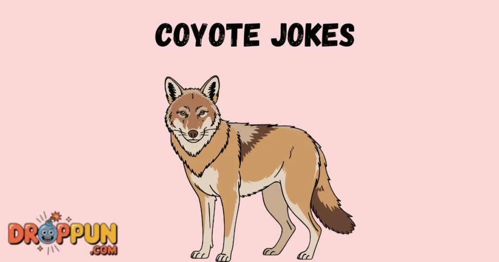 Coyote Jokes