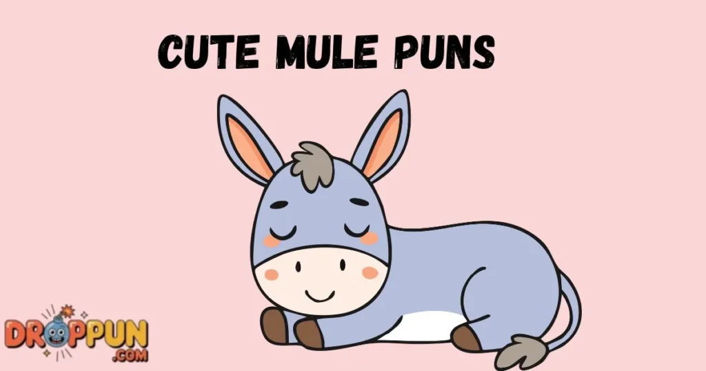 Cute Mule Puns