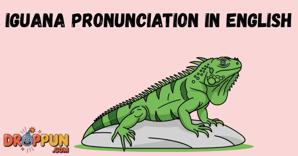 Iguana Pronunciation In English
