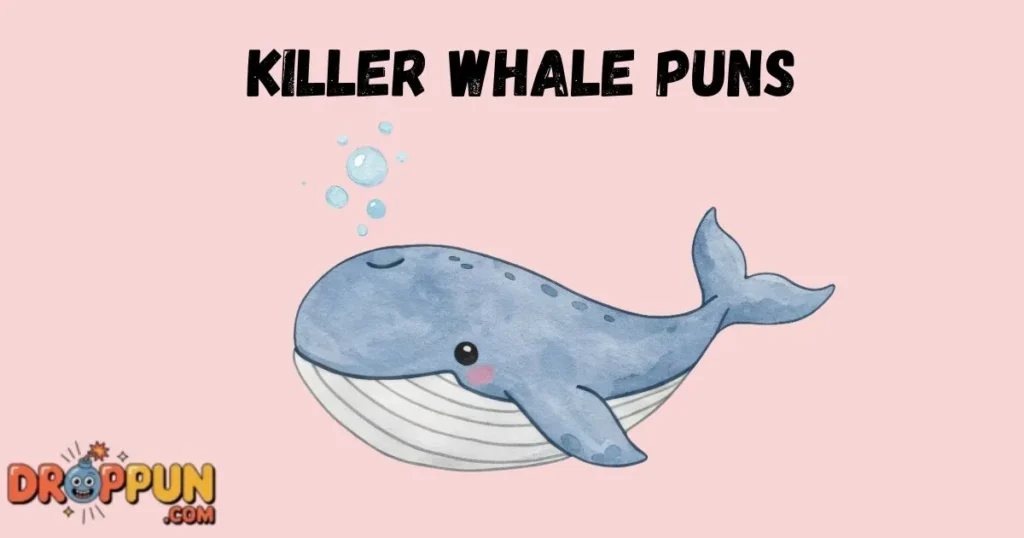 Killer Whale Puns