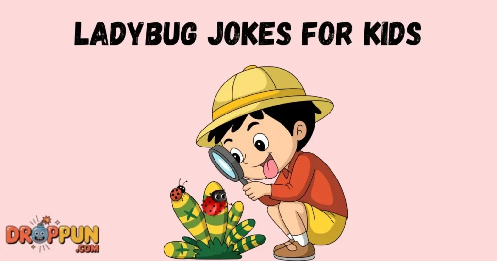 Ladybug Jokes For Kids