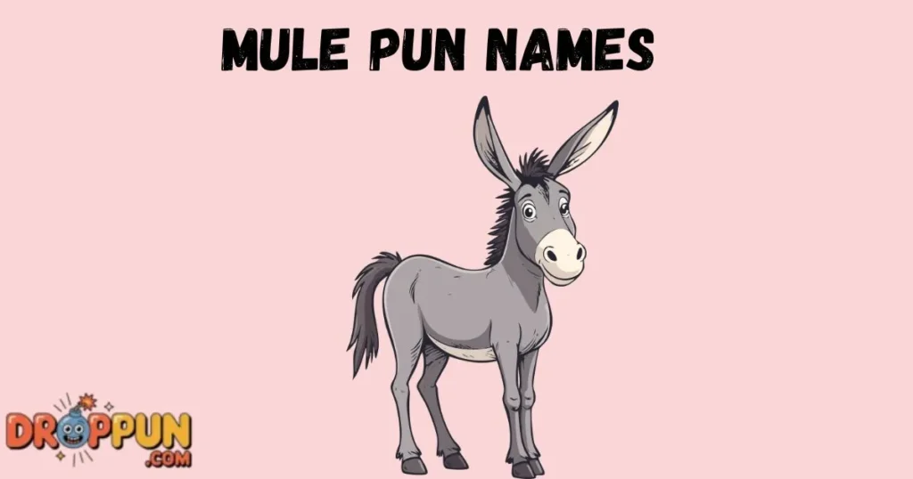 Mule Pun Names