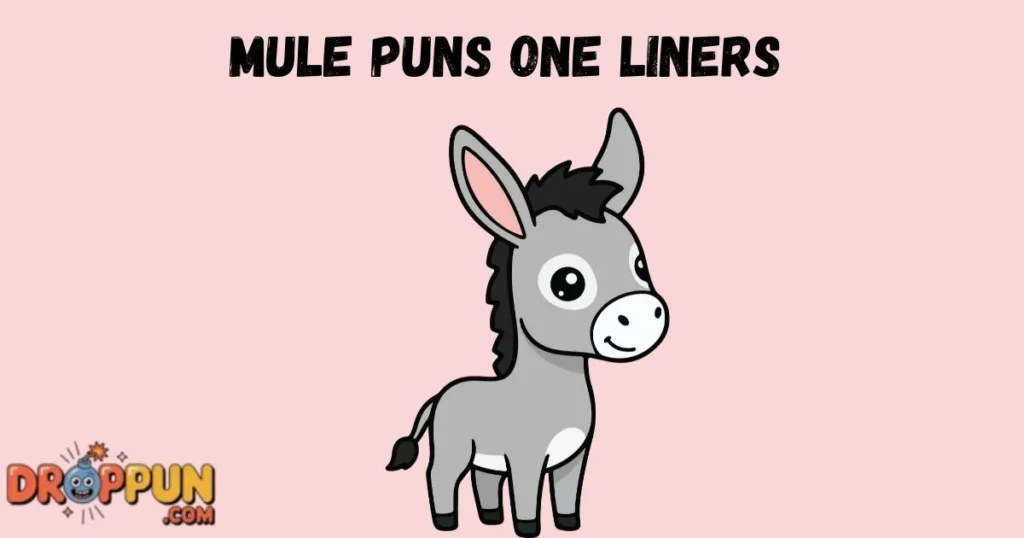 Mule Puns One Liners