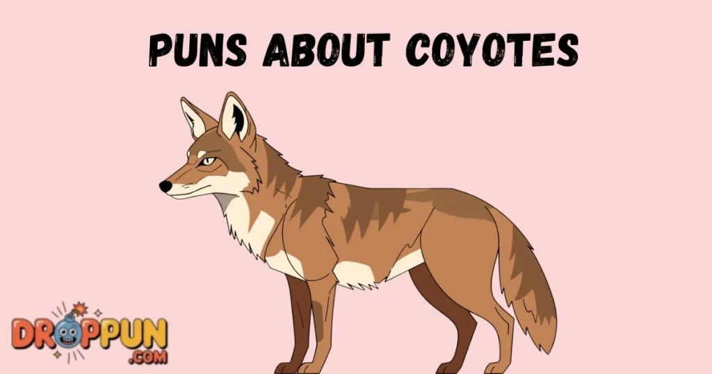 Puns About Coyotes