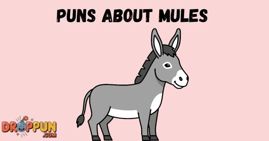 Puns About Mules