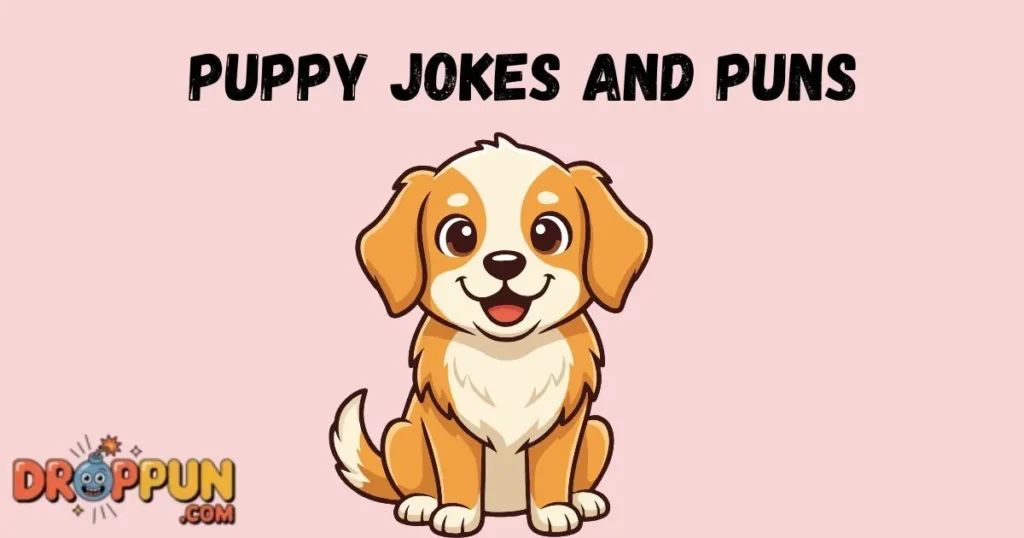 Puppy Jokes And Puns
