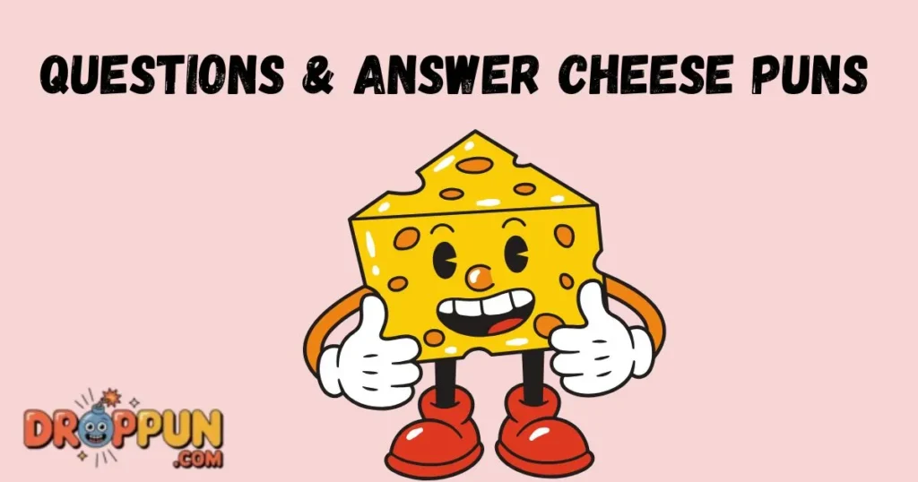 Questions And Answer Cheese Puns
