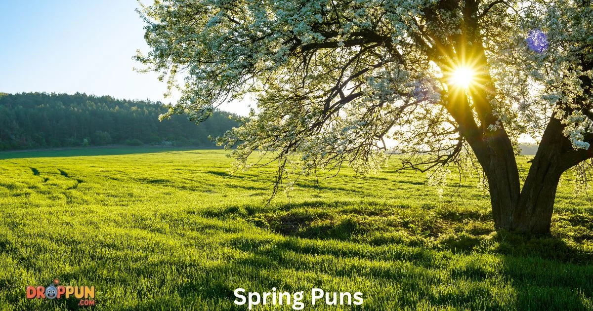 178+Spring Puns Everyone Is Sharing This Season 2026