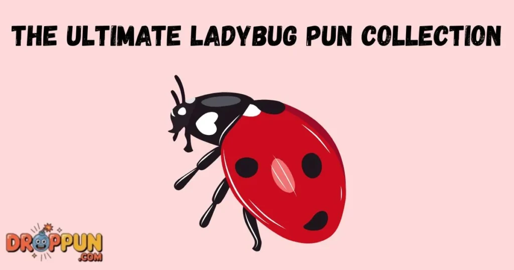 The Ultimate Ladybug Pun Collection