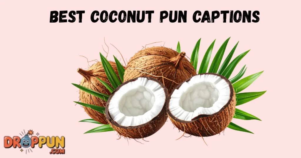 Best Coconut Pun Captions
