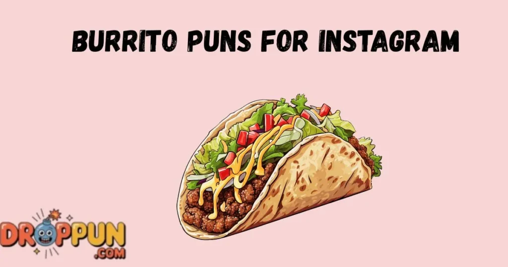 Burrito Puns For Instagram