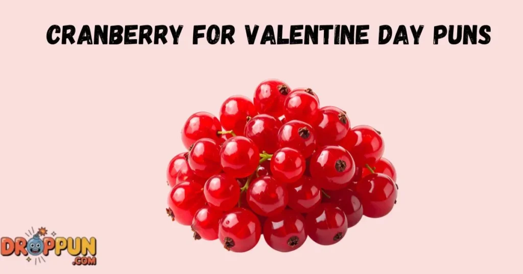 Cranberry For Valentine Day Puns