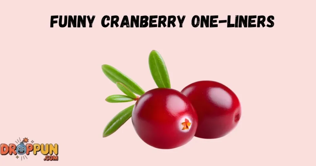 Funny Cranberry One Liners