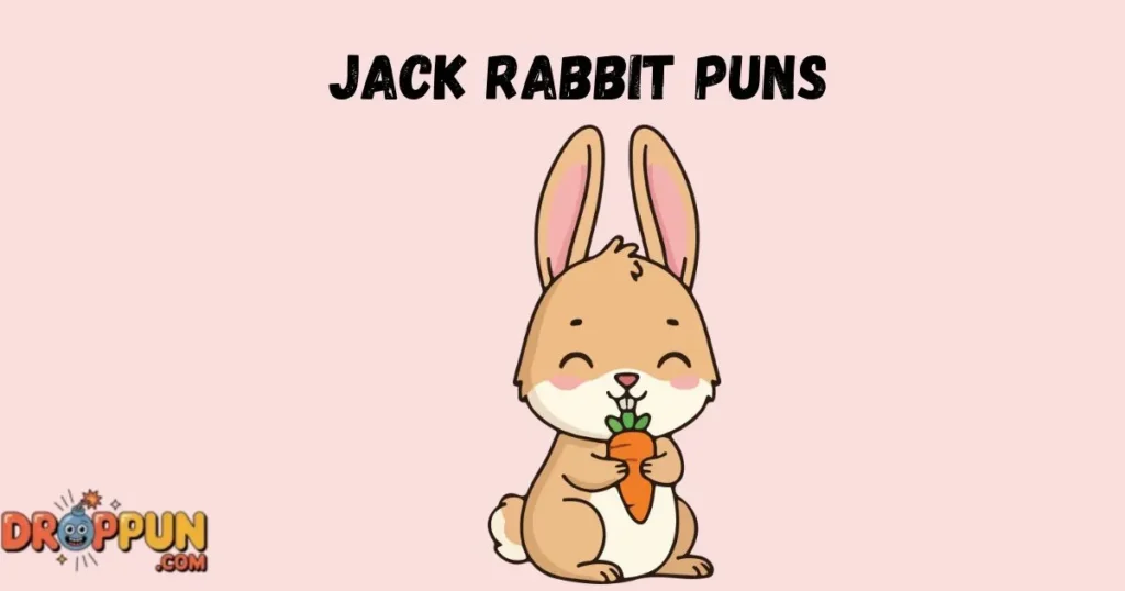 Jack Rabbit Puns