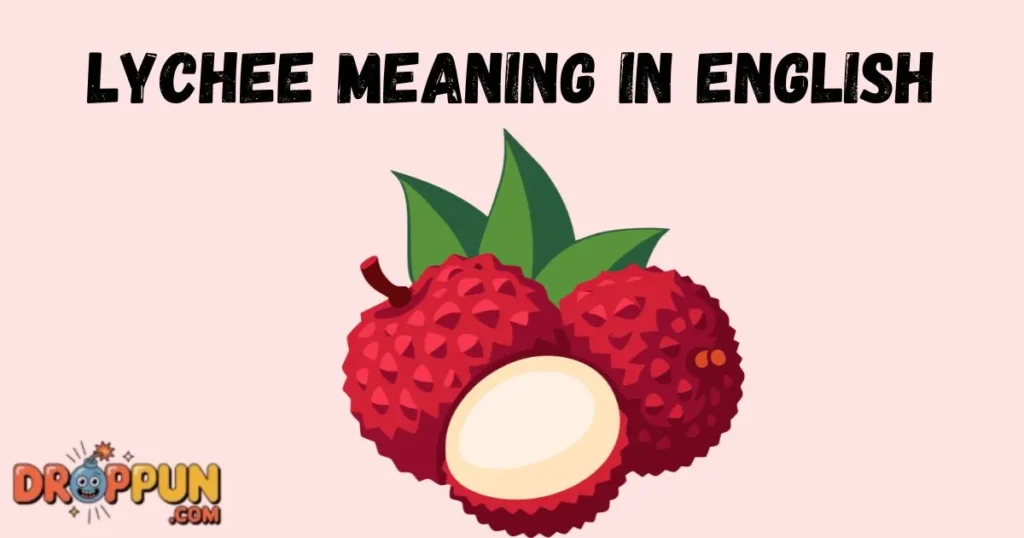 Lychee Meaning In English