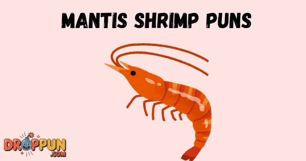 Mantis Shrimp Puns