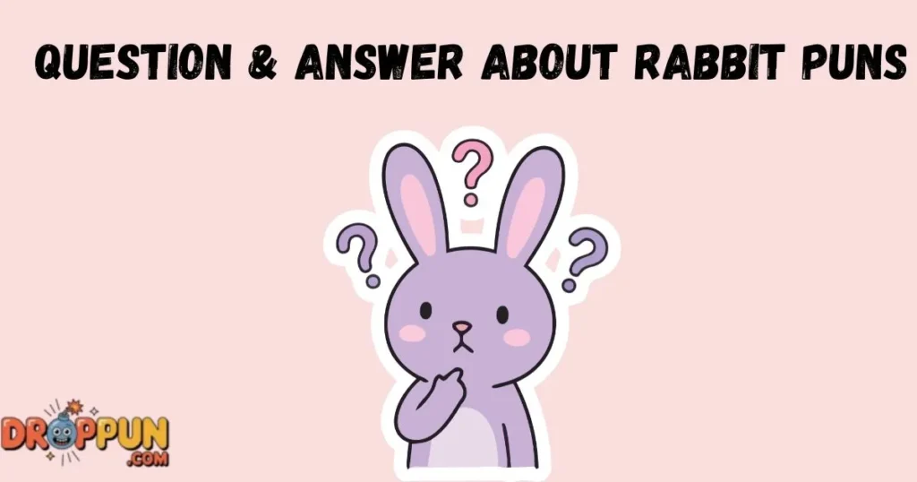 Question And Answer About Rabbit Puns