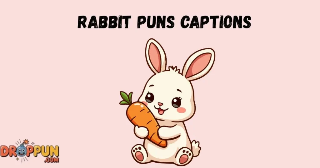 Rabbit Puns Captions