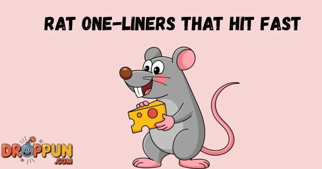 Rat One Liners That Hit Fast