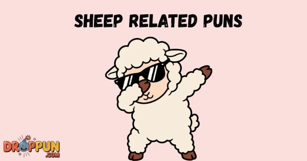 Sheep Related Puns