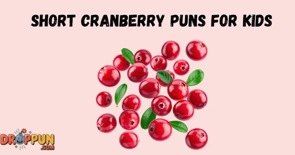 Short Cranberry Puns For Kids