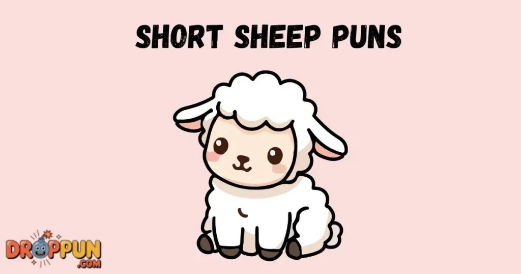 Short Sheep Puns