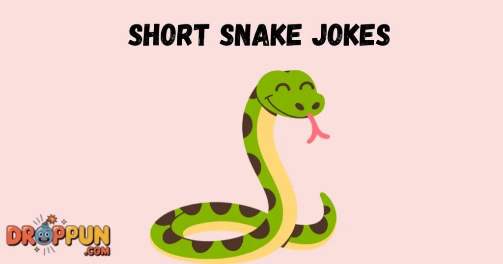 Short Snake Jokes