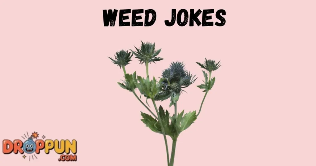 Weed Jokes