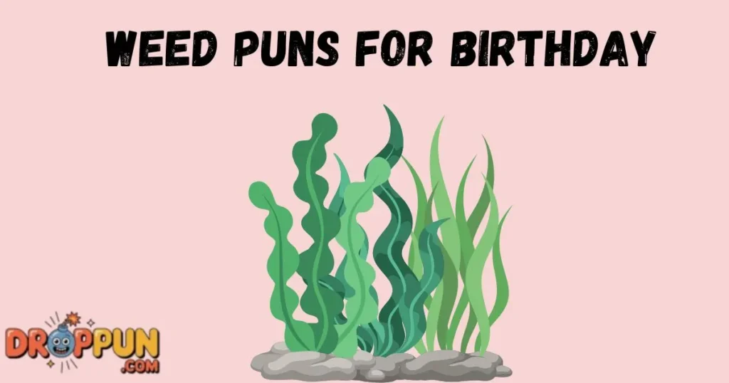 Weed Puns For Birthday