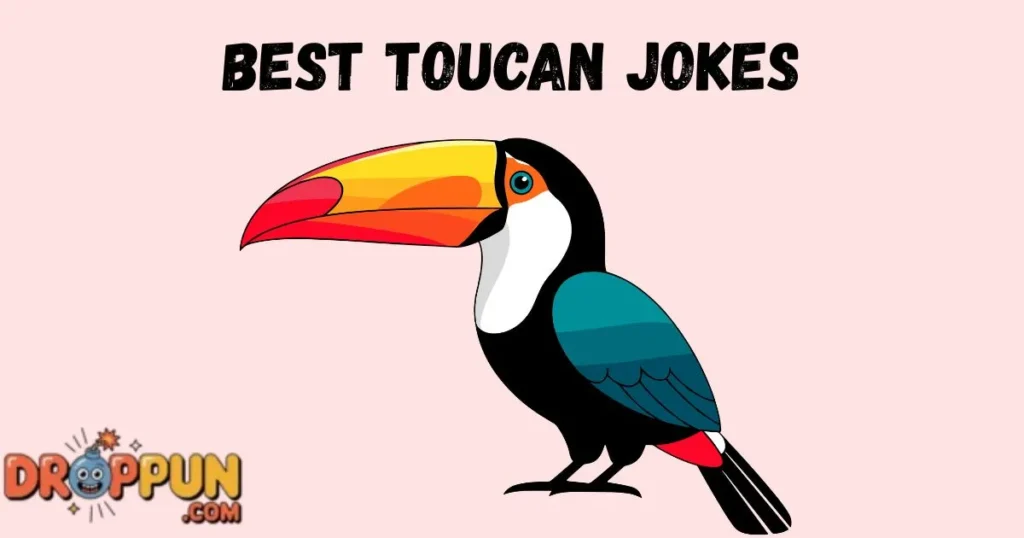Best Toucan Jokes