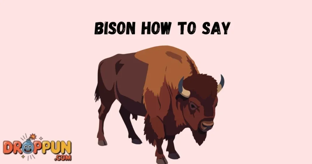 Bison How To Say