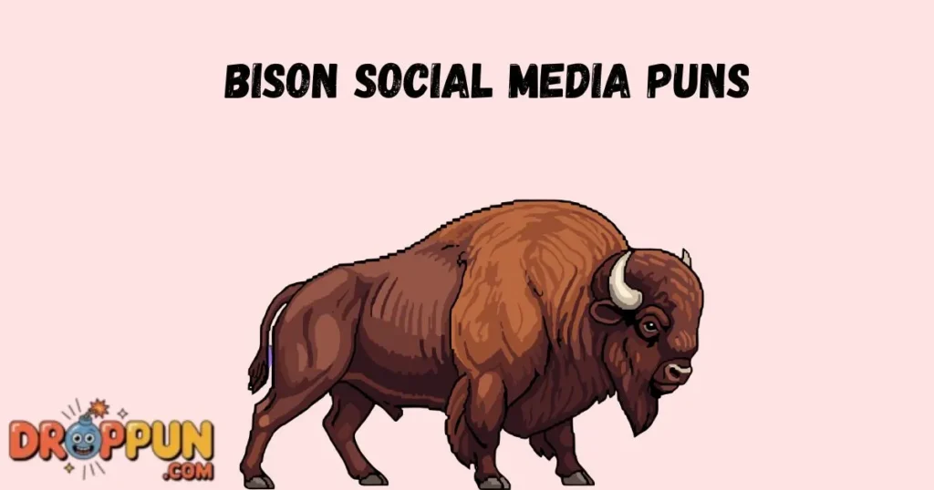 Bison Social Media Puns