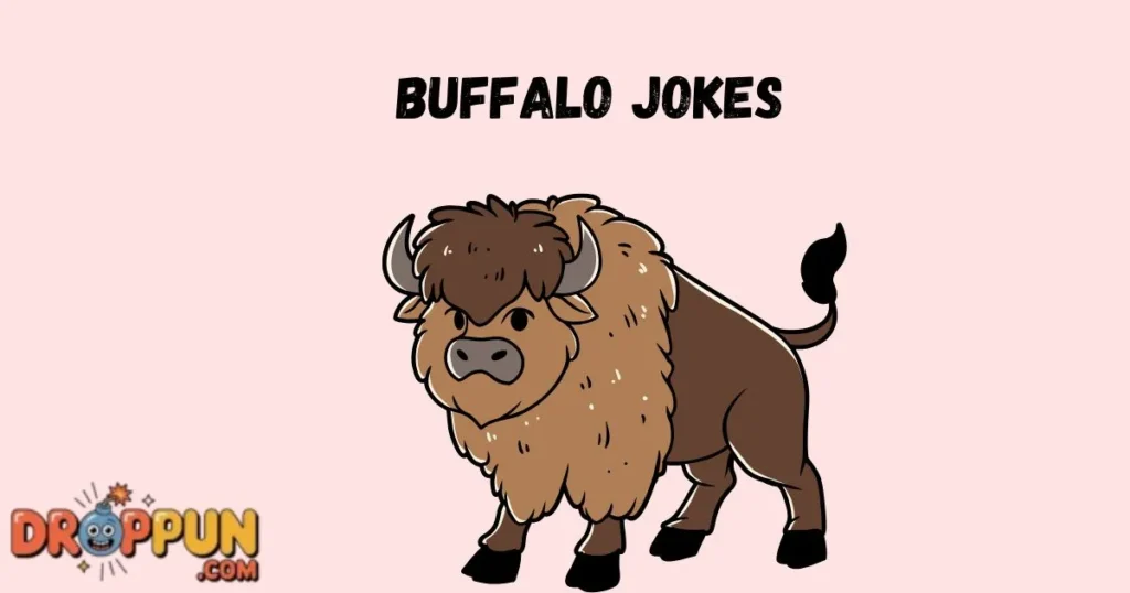 Buffalo Jokes
