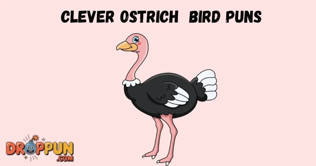 Clever Ostrich Bird Puns