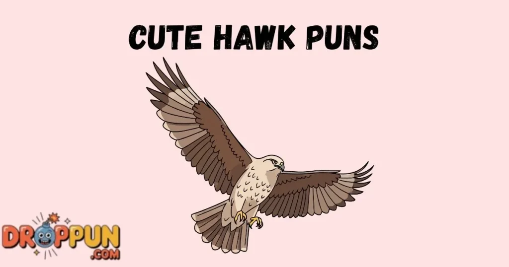 Cute Hawk Puns