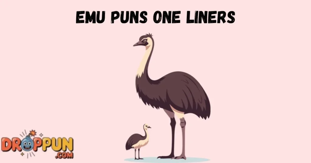 Emu Puns One Liners