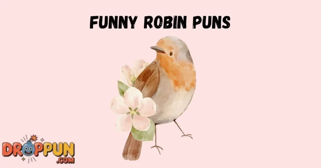 Funny Robin Puns