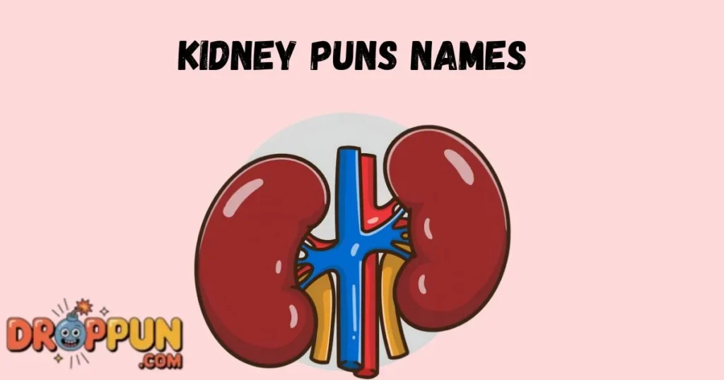 Kidney Puns Names