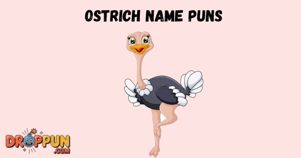 Ostrich Name Puns