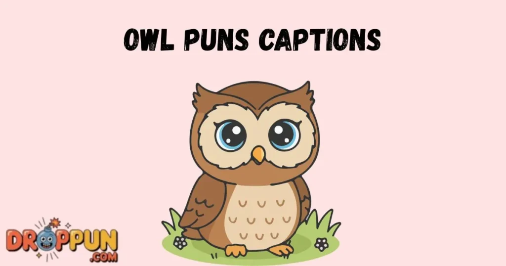Owl Puns Captions