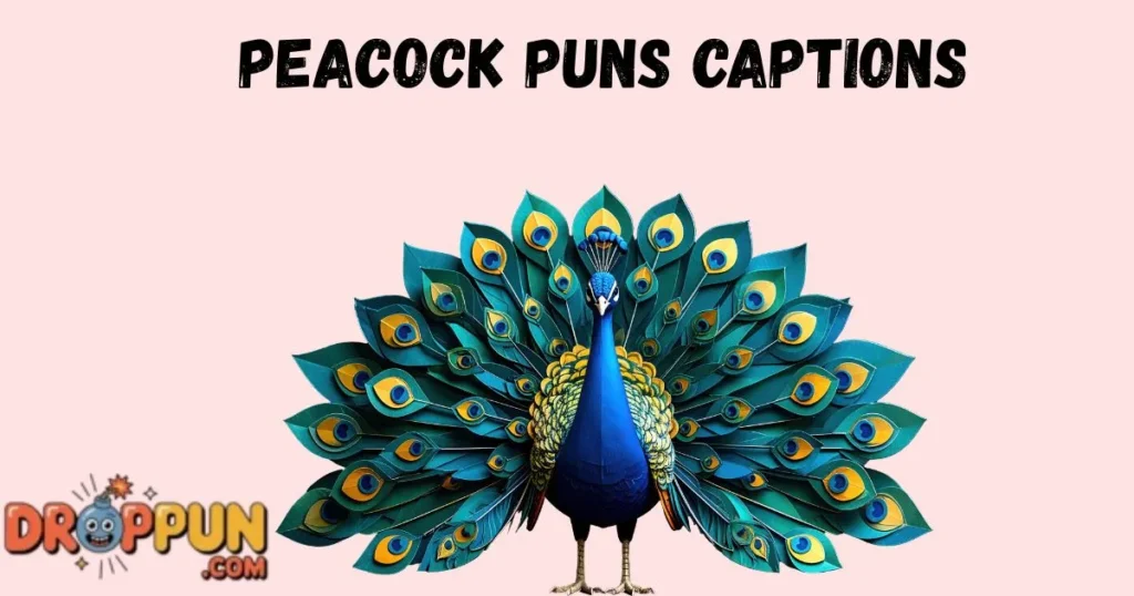 Peacock Puns Captions