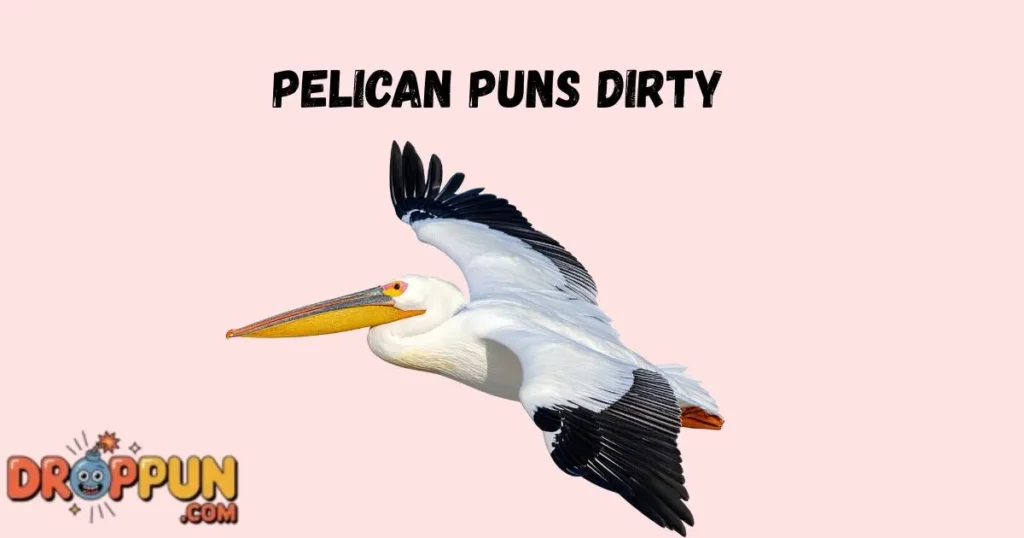 Pelican Puns Dirty