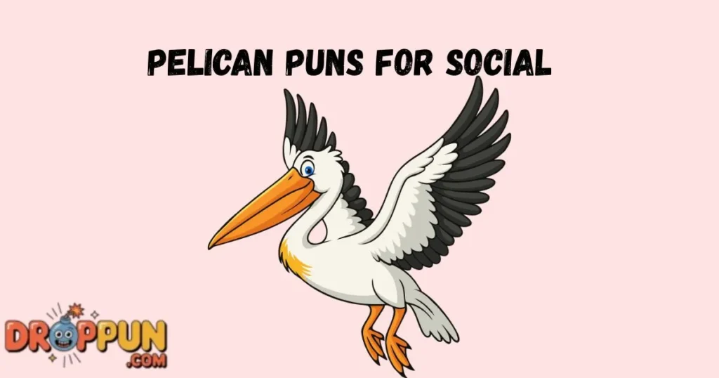 Pelican Puns For Social