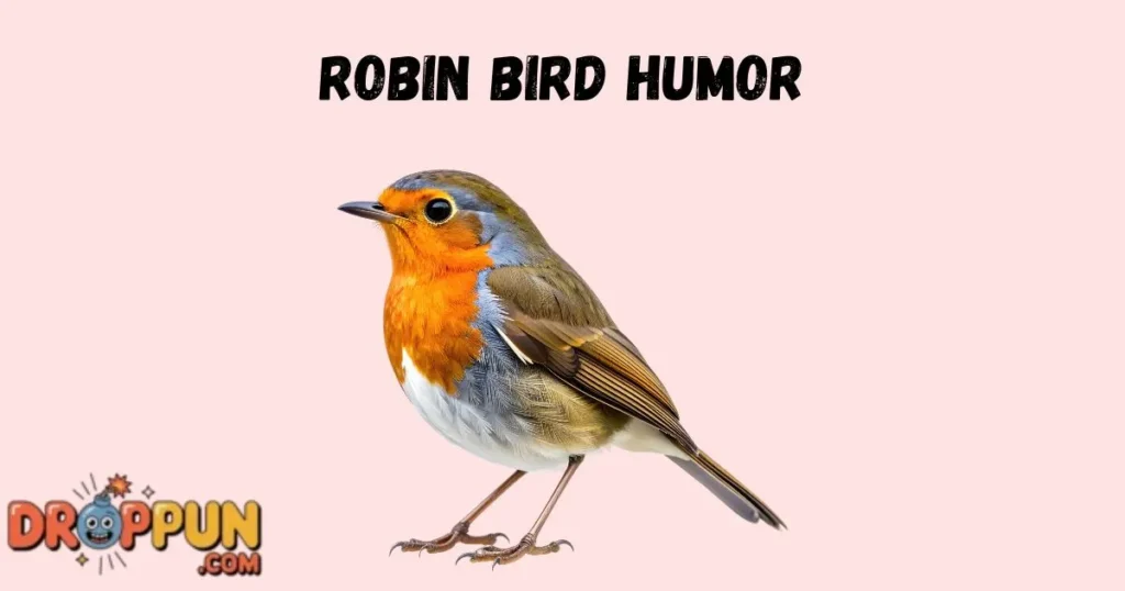 Robin Bird Humor
